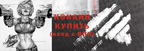дживик Аркадак