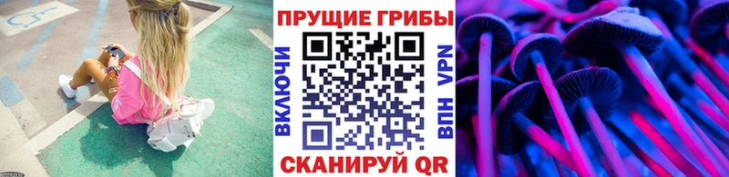 Псилоцибиновые грибы Cubensis  Вязьма 