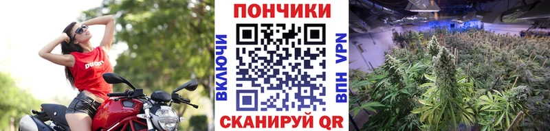 Конопля LSD WEED  Вязьма 